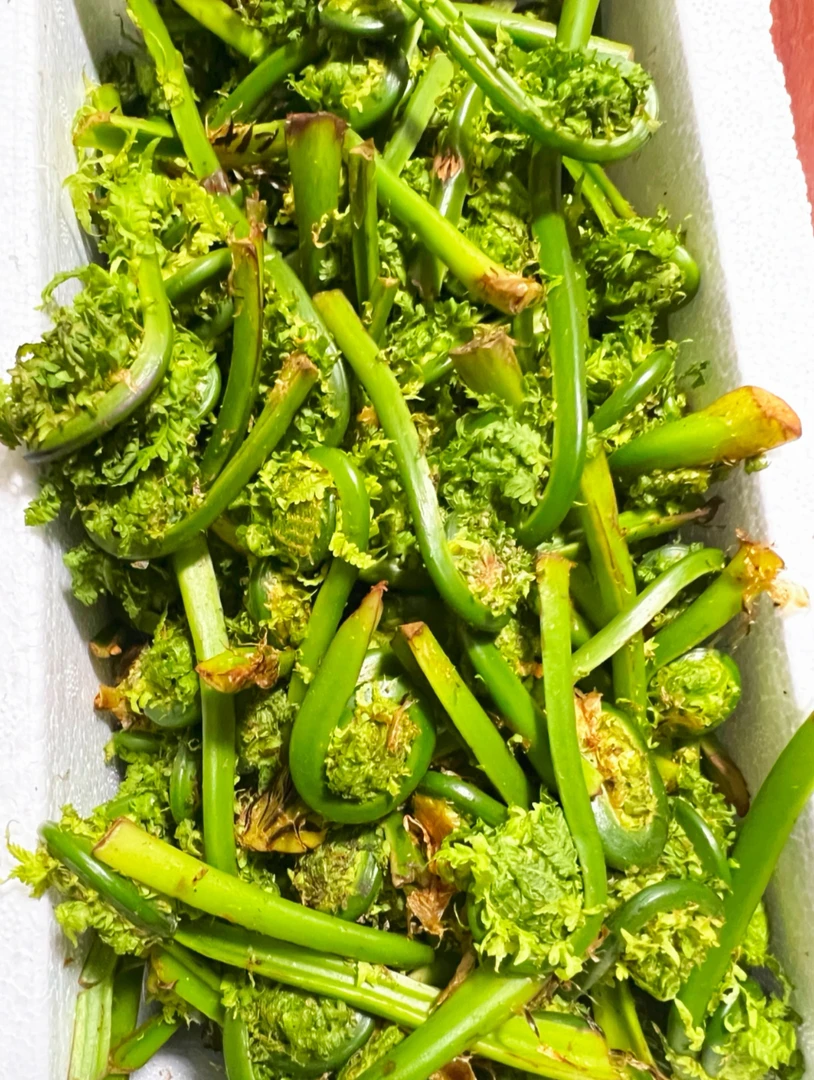 精选《黄瓜香》顺丰包邮