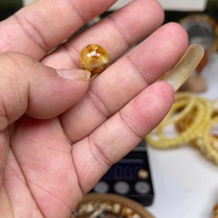 巨***鱼琥珀未镶嵌裸石61号