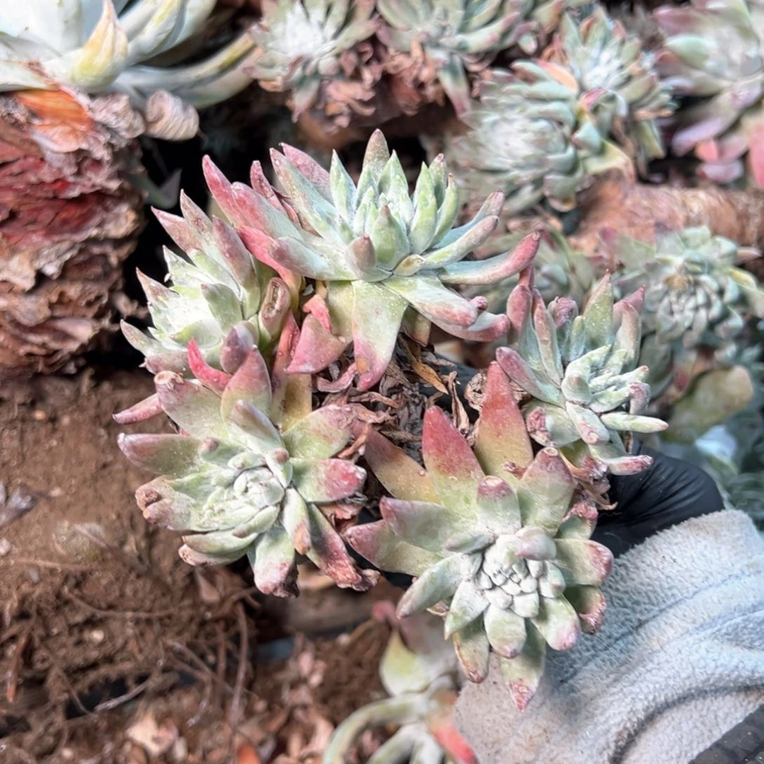 7957哈哈哈哈哈哈哈哈