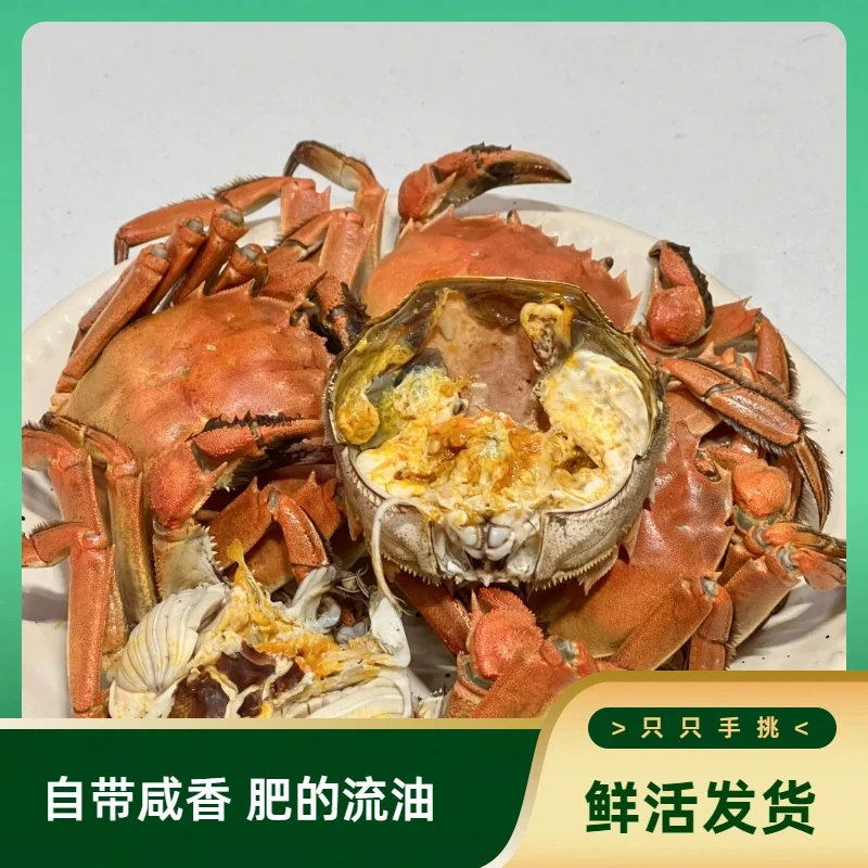 【活蟹】盘锦河蟹母5只(2.0-1.7两/只)公5只(2.0-1.7两/只)鲜活发货