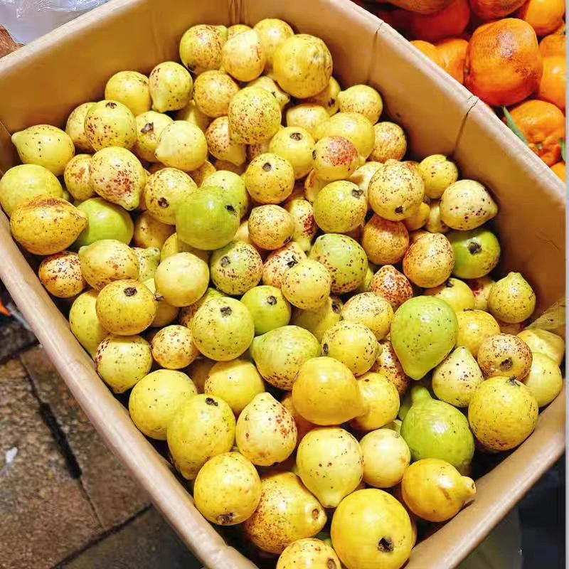 云南白心土芭乐5斤包邮软心糯老品种番石榴水果整箱鸡屎果老缅桃
