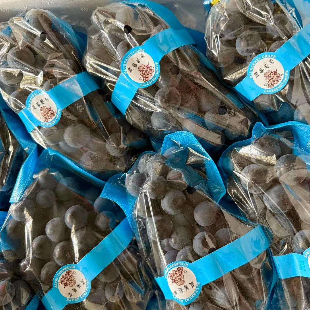 净重2.5斤左右蓝莓葡萄2串装新疆维吾尔自治区