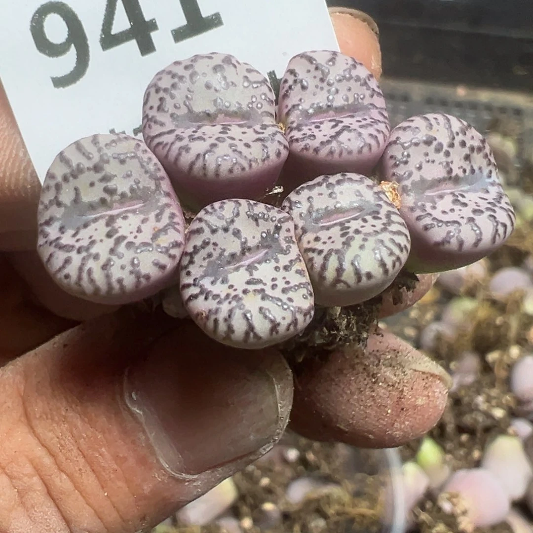 【闪购商品】 941。