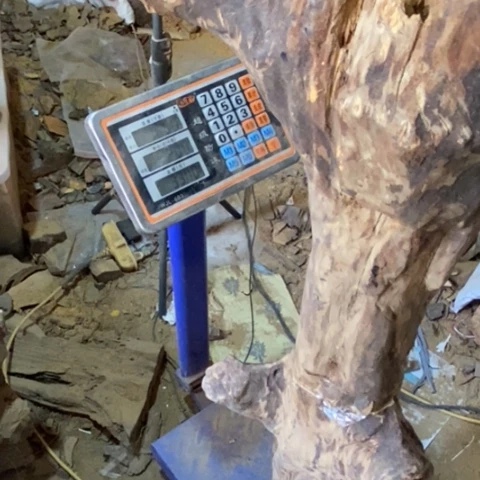 机***猫贡木把件定制1235459879