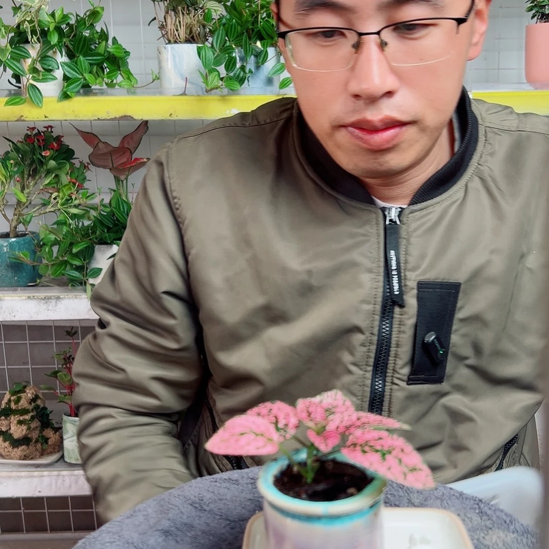 海***风无花朵21