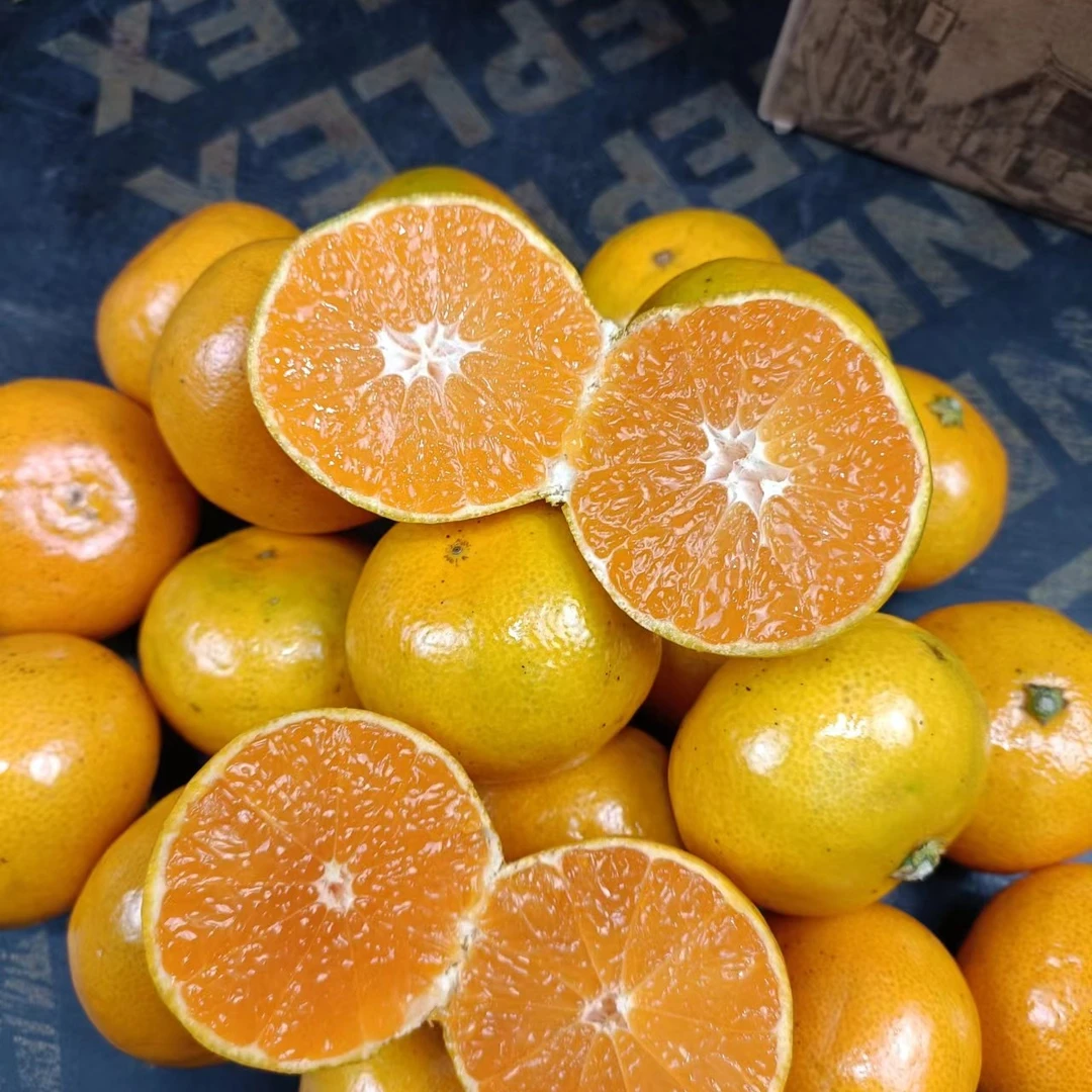 涌泉蜜桔(爆汁清香)