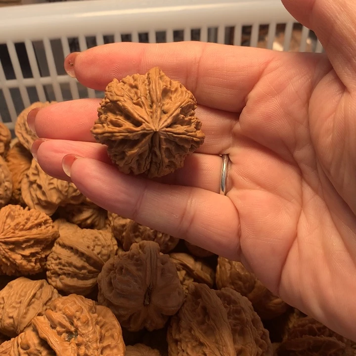 快***恼文玩核桃吊坠核桃