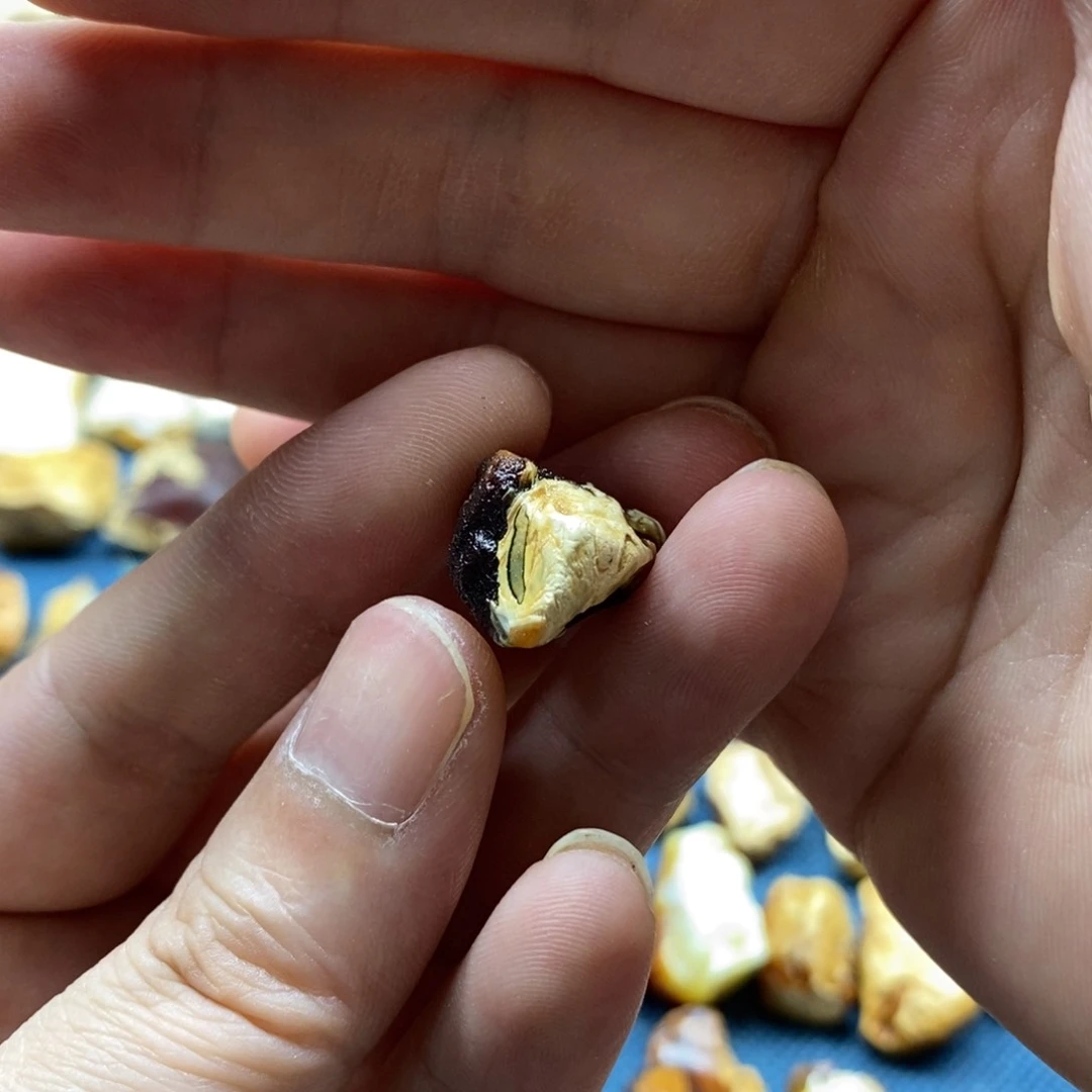 定制琥珀未镶嵌渐*蜜蜡