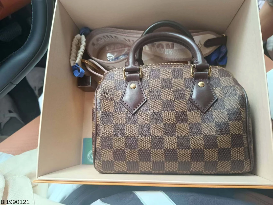 99新 LouisVuitton/路易威登 speed 20 棋盘格手提枕头/BI1990121