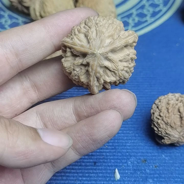 喵***喵核桃手串/手链有点黄丝