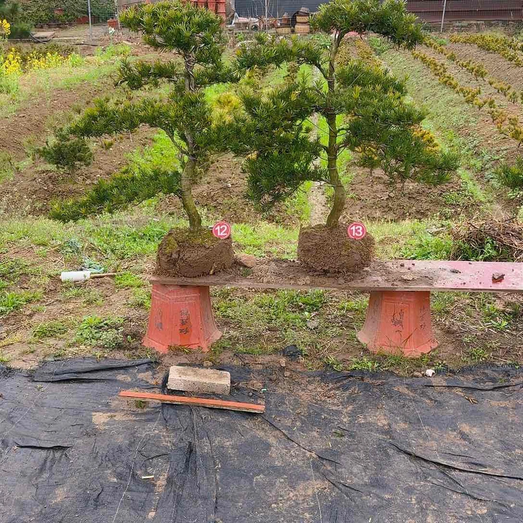 信****店1452369852365896575