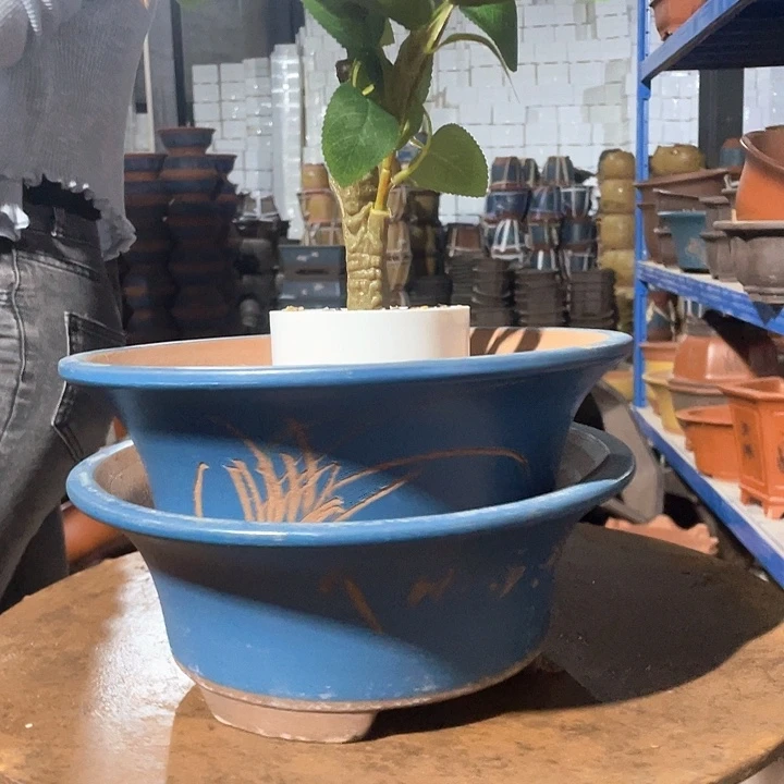 27–27蓝票口花盆花盆花盆