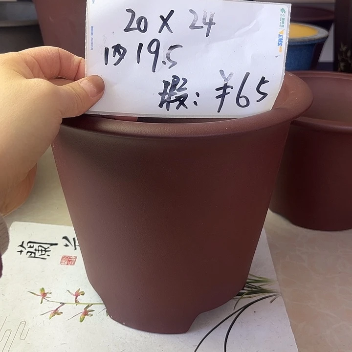 花盆紫砂5856888888888858888888