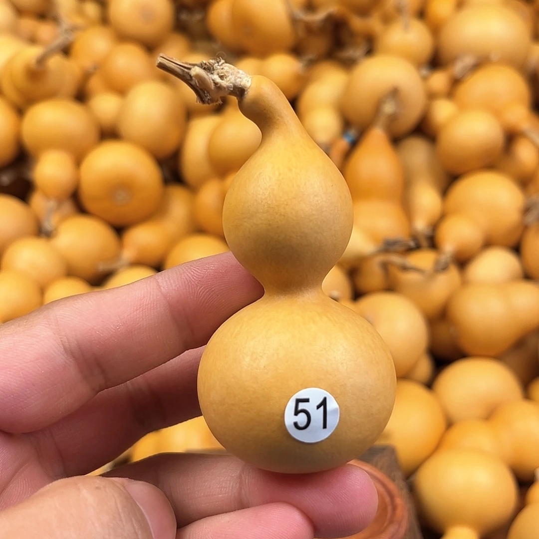 一葫芦葫芦葫芦葫芦51
