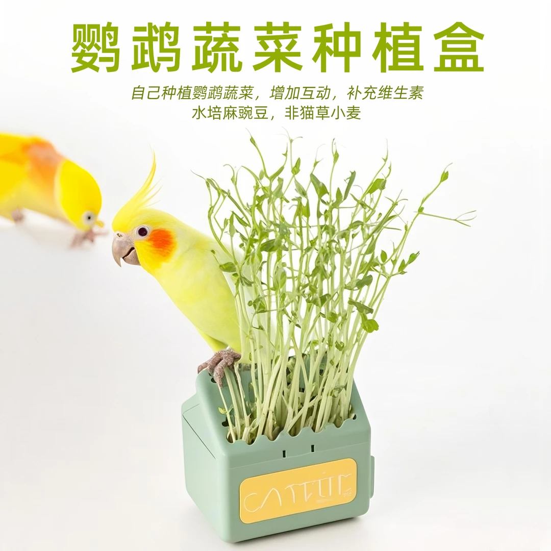 鹦鹉专用种植盒粮苗水培草麻豌豆鹦鹉笼子底下种的草天然蔬菜植物