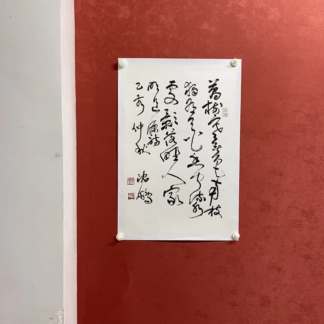万树直播间大漏1111