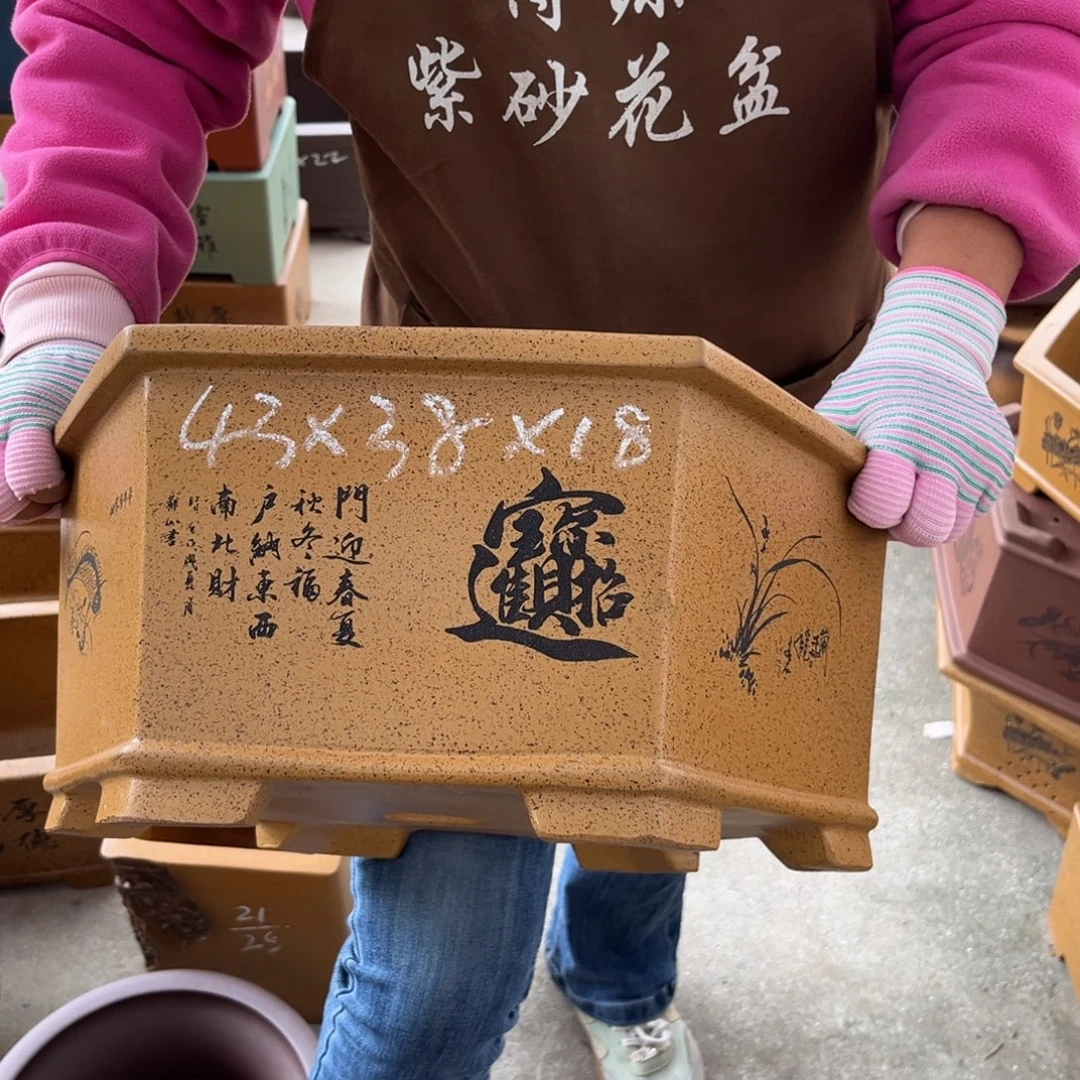 花盆紫砂盆景艺术