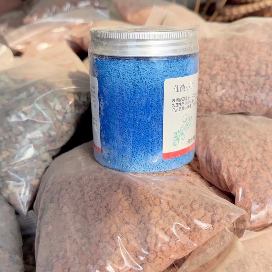 无花朵小白药250克大瓶