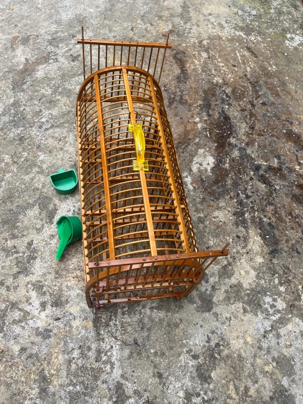 竹鸡八哥一头按竹制鸟笼