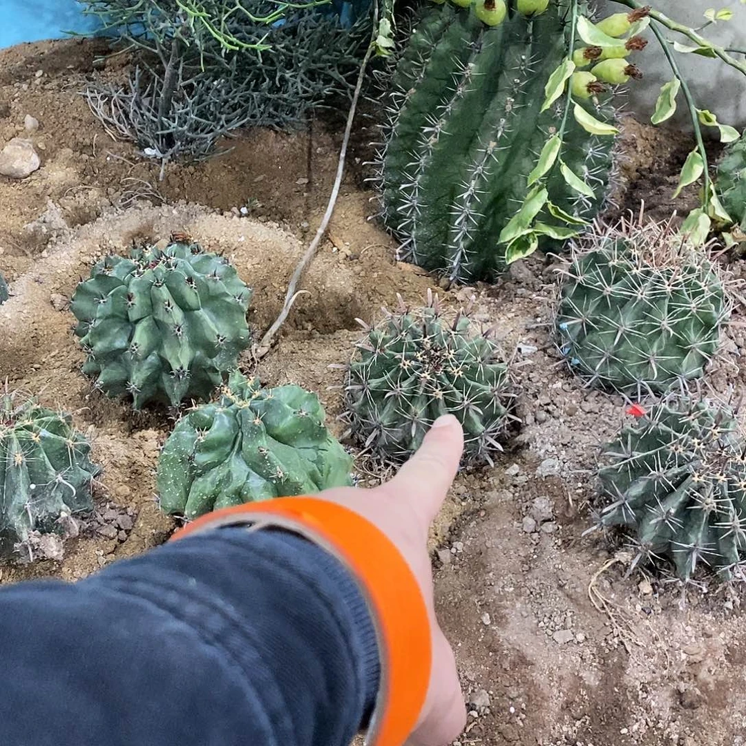 李***荣雎鸠玉一个。