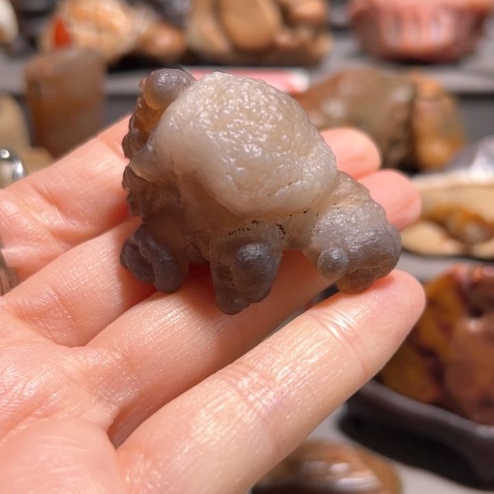 石材熊爪子福利来