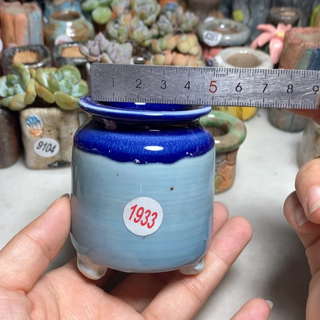 拍5送一个小礼物