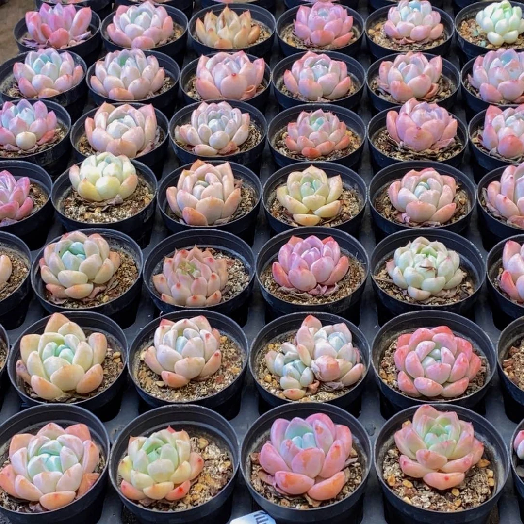 玩****海369的人在一起了。我是