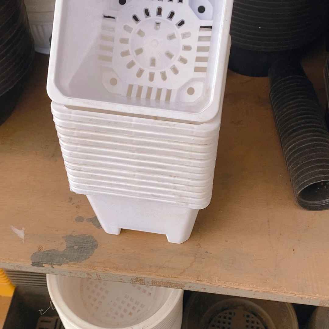 塑料新12公分加厚15个