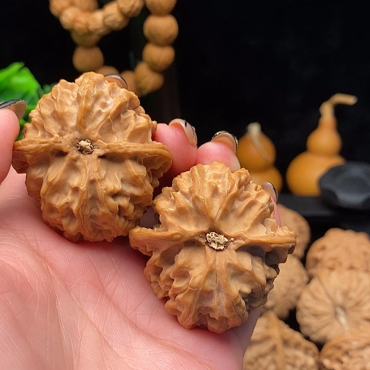 核桃苹果园狮子头