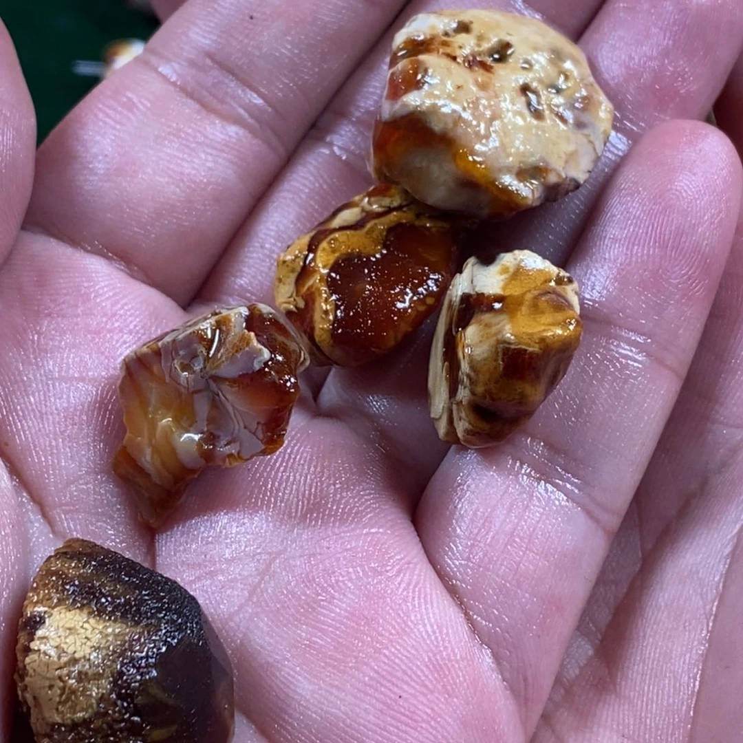 定制琥珀未镶嵌?**?