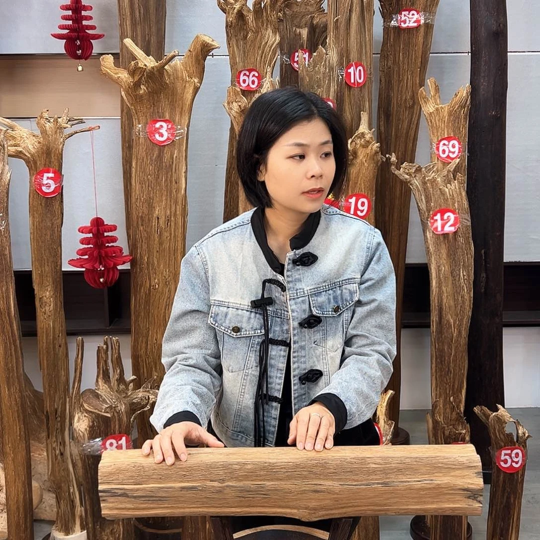 沉香摆件海南沉香摆件