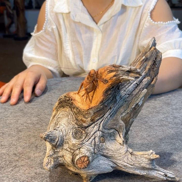 柏木（崖柏）根雕摆件工艺品