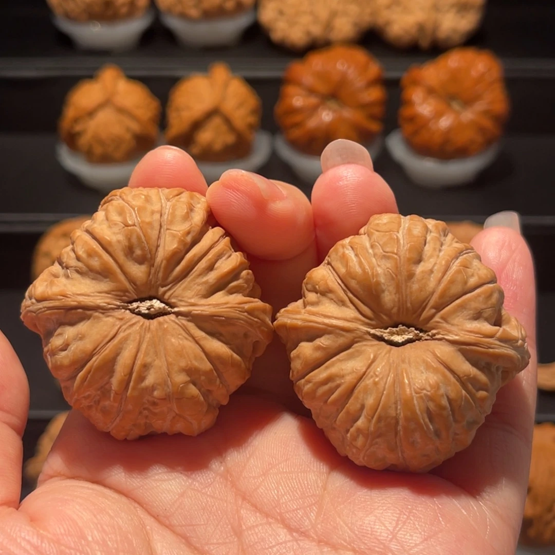 全品，精品，42南瓜敦215