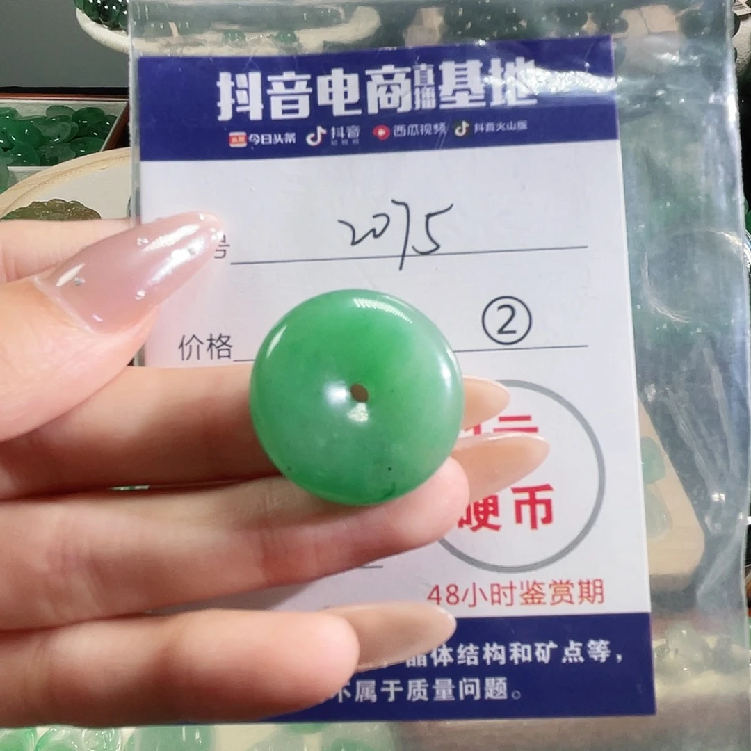 硅化玉未镶嵌颈饰