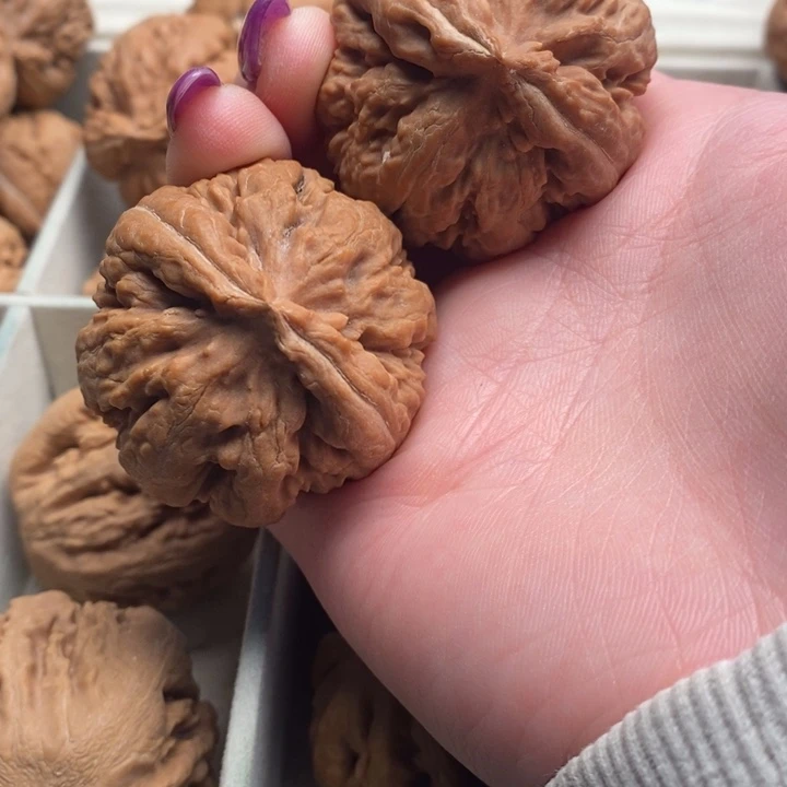 吊坠文玩核桃霸王龙