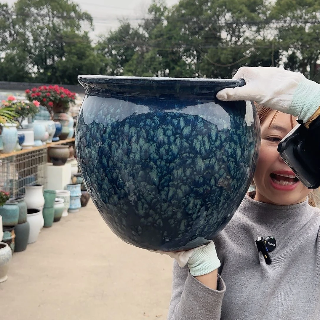 王嫂花盆直播1117-338高30口30