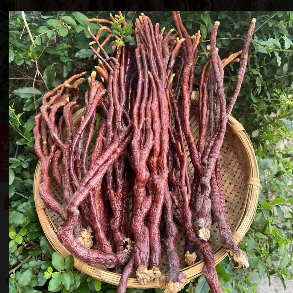 云南山货精选 路～角～林～之非粮油米面