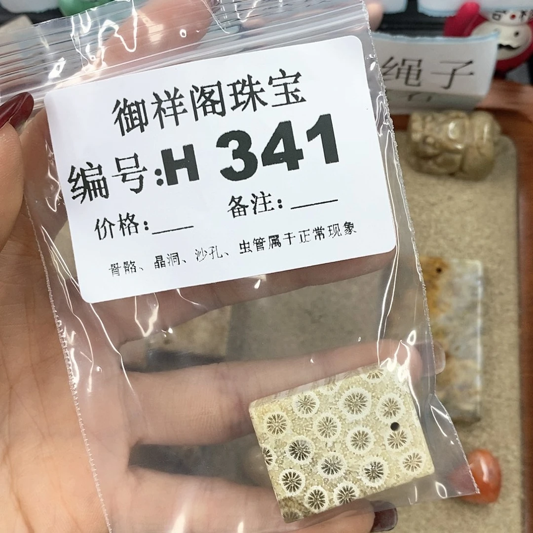 硅化珊瑚（珊瑚玉）H未镶嵌认****
