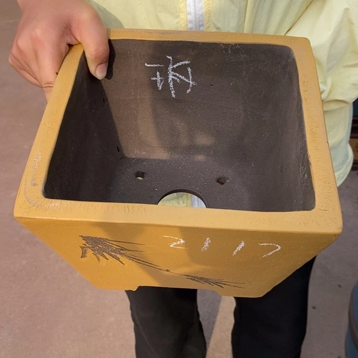 紫砂花盆自己出去