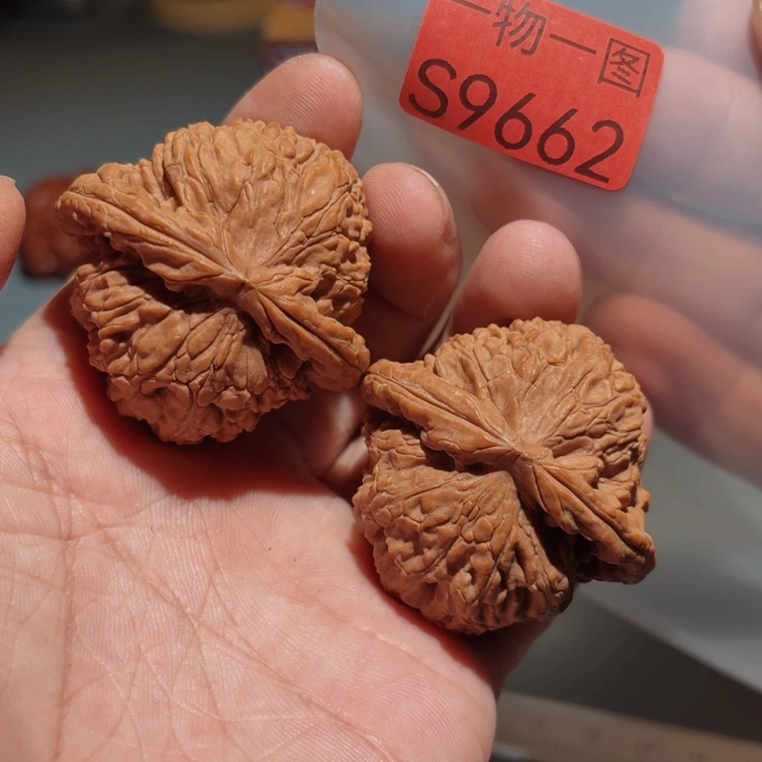 文玩核桃把件白狮子