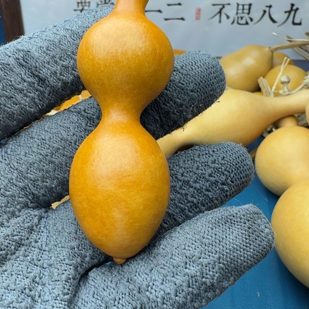 y***生葫芦葫芦葫芦葫芦葫芦