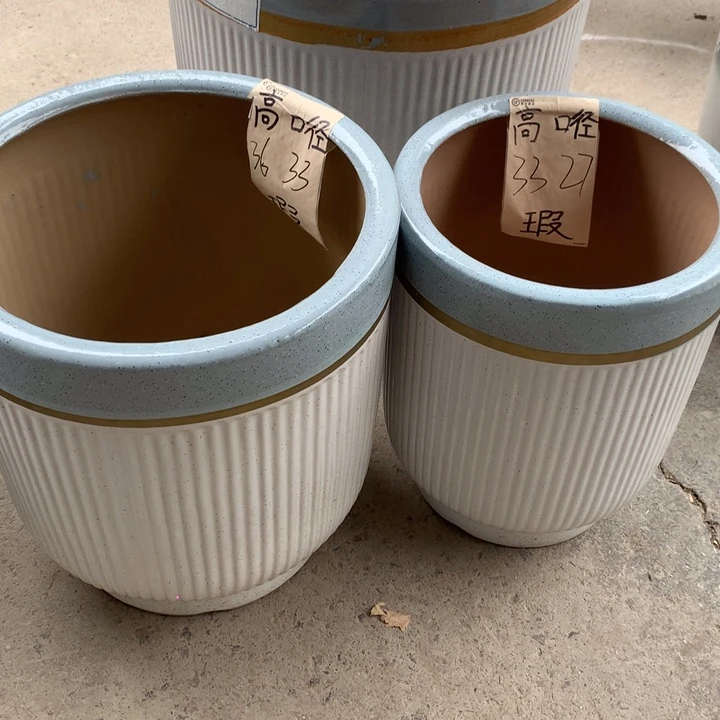 花盆里的小猫咪们都好可爱啊哈哈