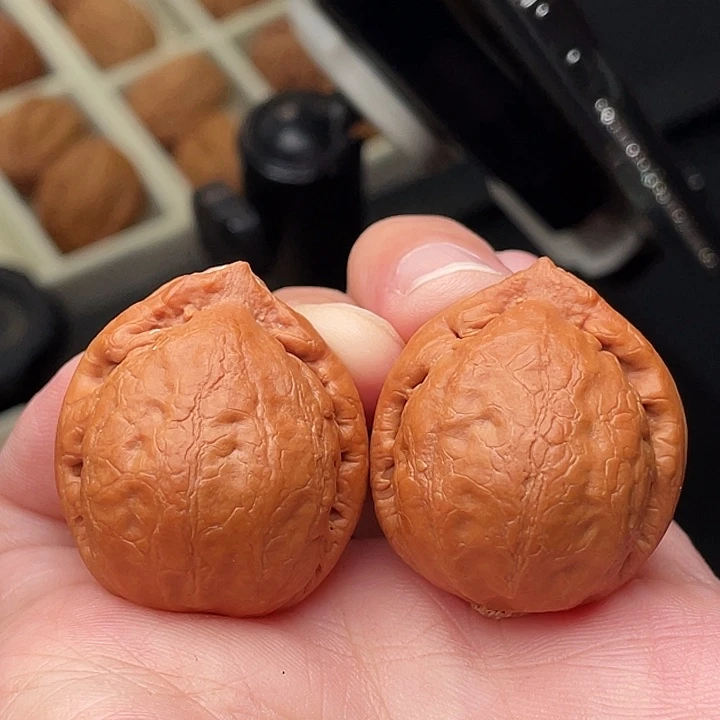 龘***文玩核桃把件核桃