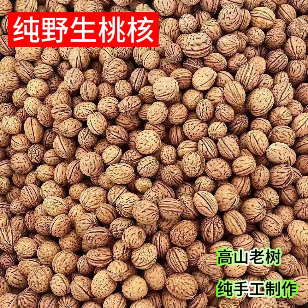 天然野生山桃核纯手工家用