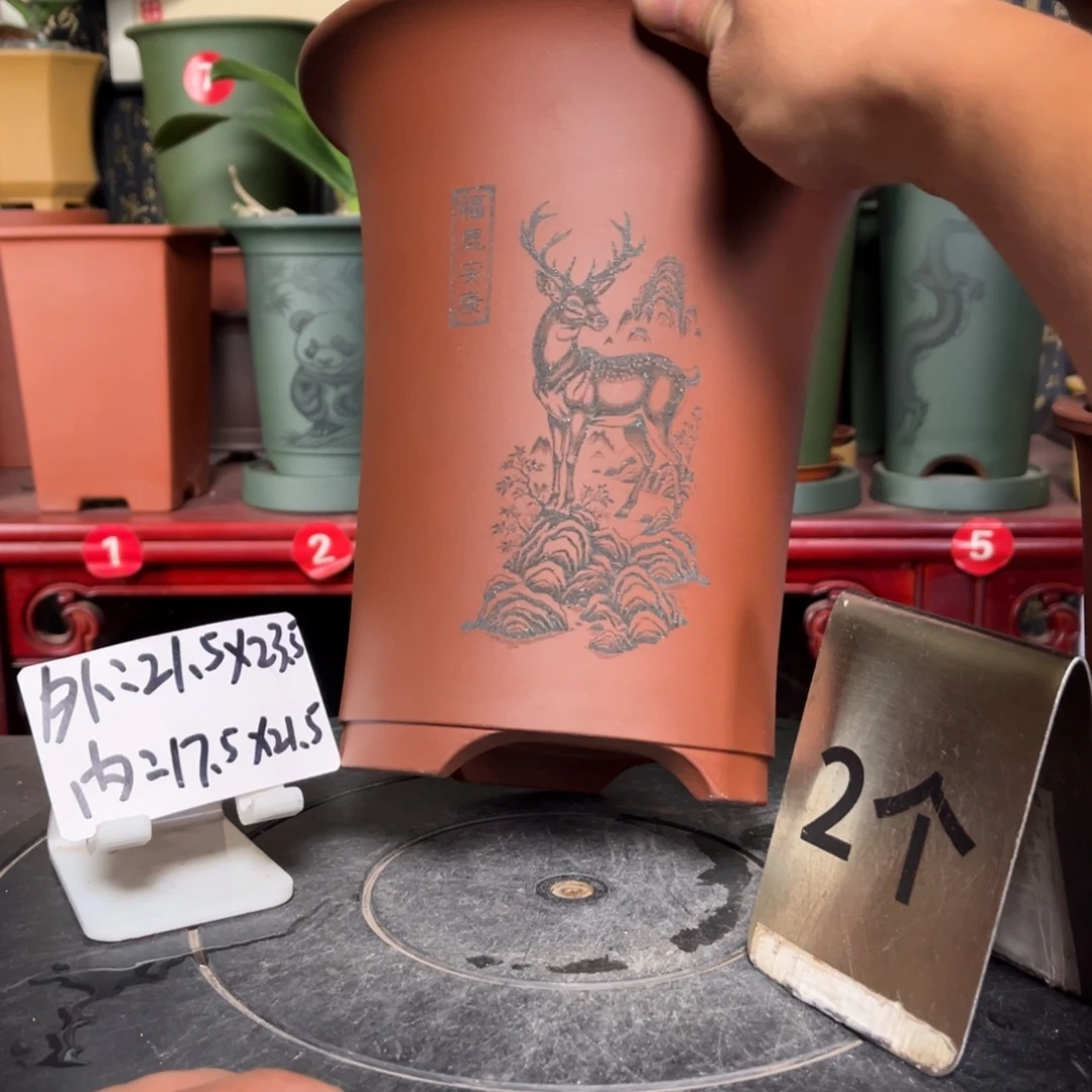 紫砂花盆紫砂花盆
