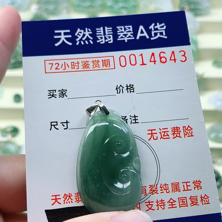 颈饰未镶嵌翡翠钱