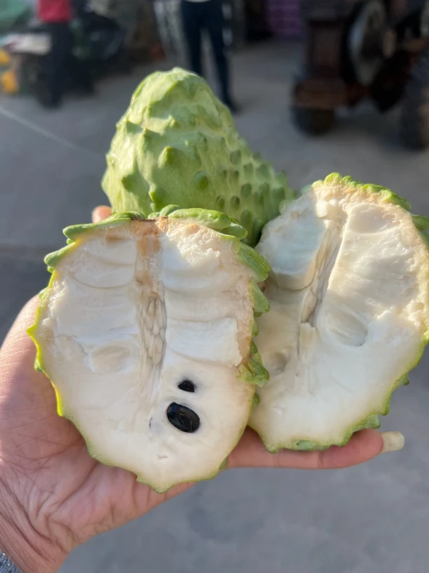 好吃嘴（放软食用）正宗云南牛奶凤梨释迦新鲜采摘应季水果纯甜