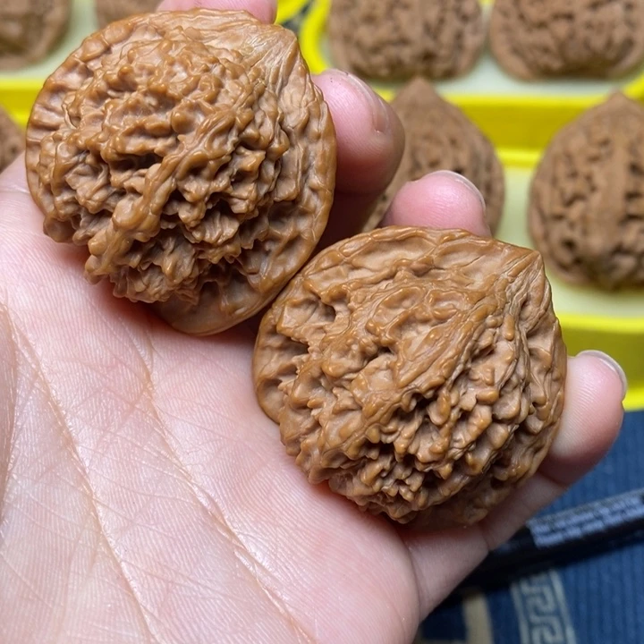 文玩核桃满天星40