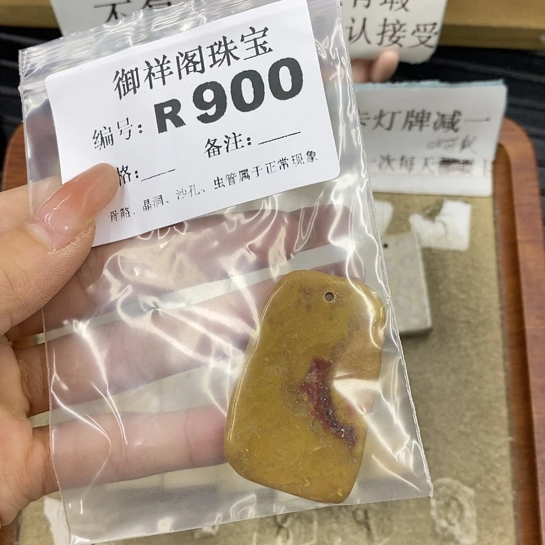 硅化珊瑚（珊瑚玉）未镶嵌颈饰小*
