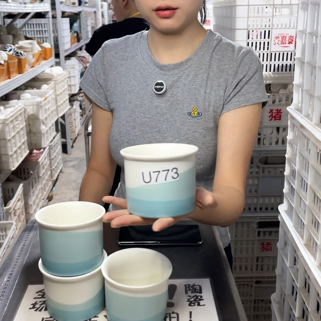 瓷片773           4个